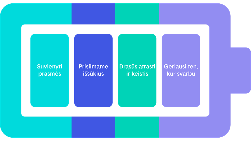 Ignitis vertybės